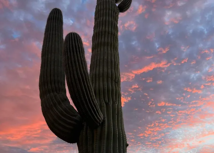 360 Mtn Views Bird Watching Fireplace Patio Holiday home Tucson